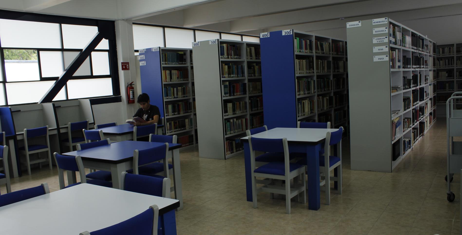 CDV Nosotros - instalaciones - biblioteca - bg