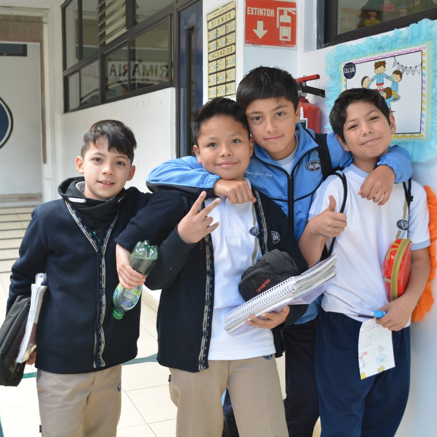 CDV Alumnos de Colegio Del Valle Primaria