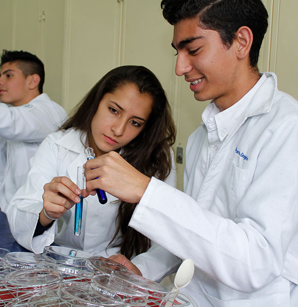 cómo escoger la mejor opción de preparatoria