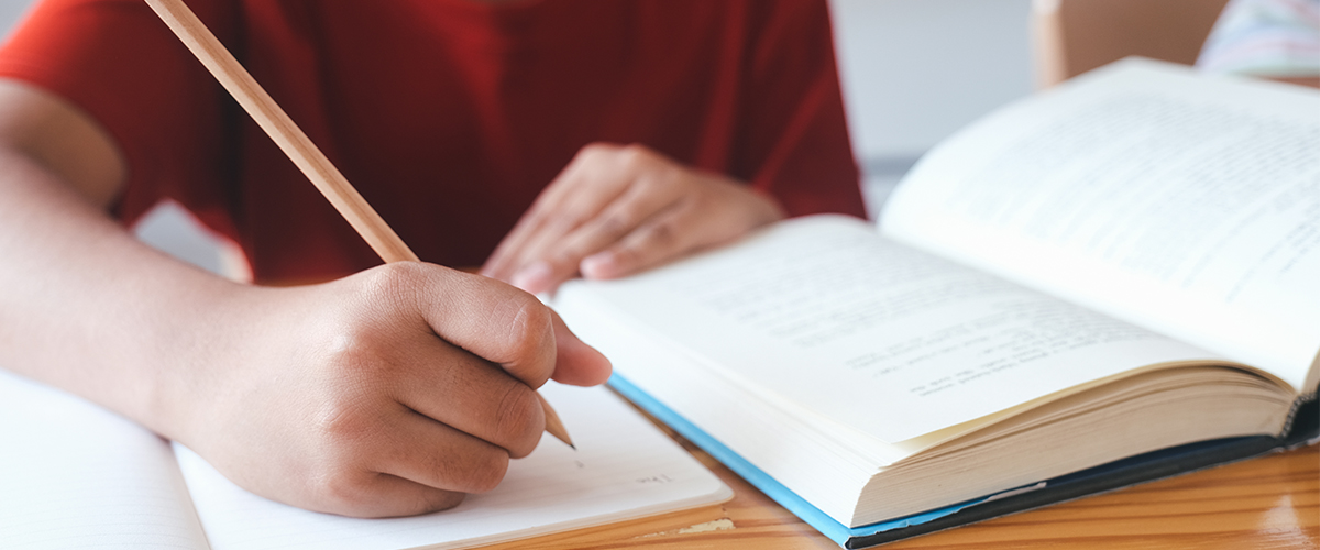 características de la educación primaria