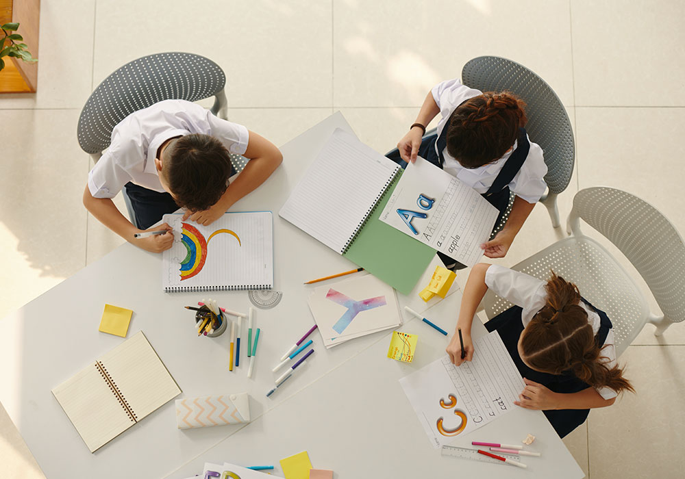 tipos de proyectos nem